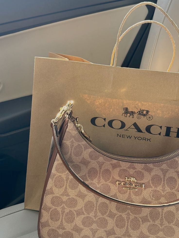 Coach Teri Hobo Bag with Brand Box