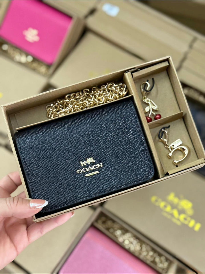 Coach Wallet with Chain and Keychains