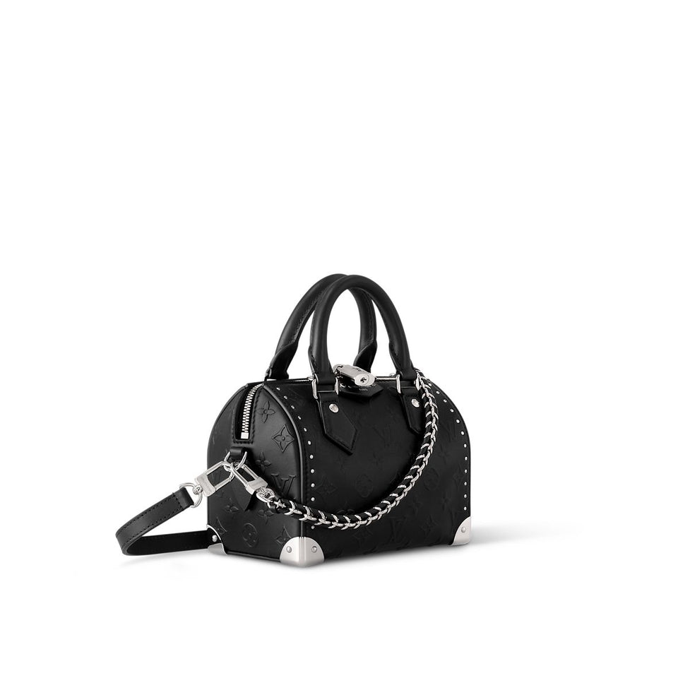 Louis Vuitton Speedy Trunk 20 with Brand Box