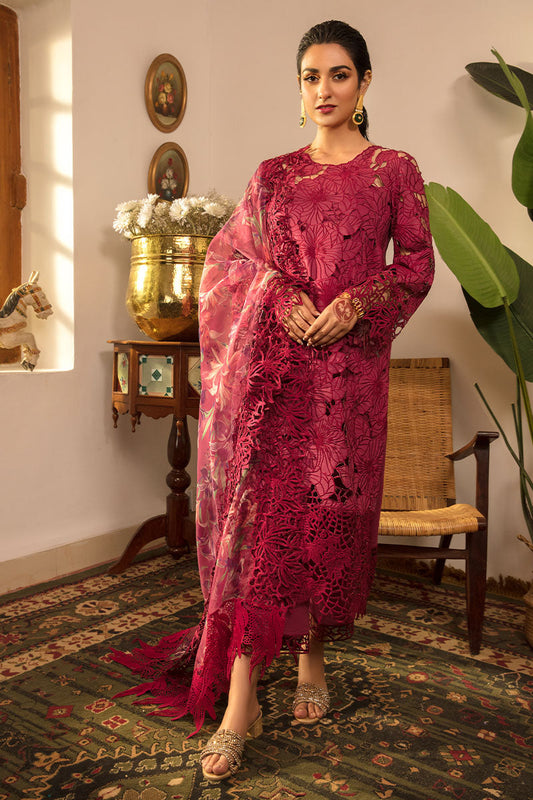 RANG RASIYA Embroidered Chikankari Luxury Lawn Collection
 - ZÉVA