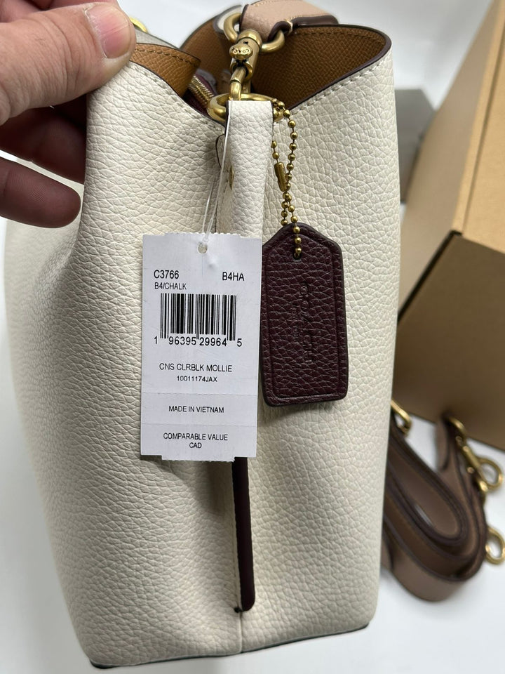 Coach Willow Bucket Bag with Brand Box