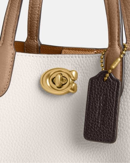 Coach Bag with brand box