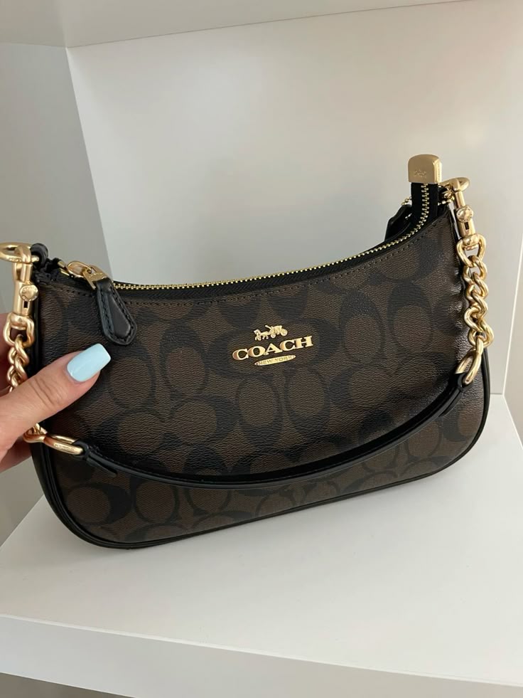 coach Teri bag with brand box