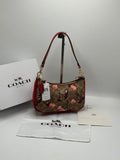 Coach Teri with Brand Box - Same as Original