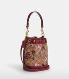 Coach bucket bag with brand Box
