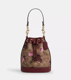 Coach bucket bag with brand Box