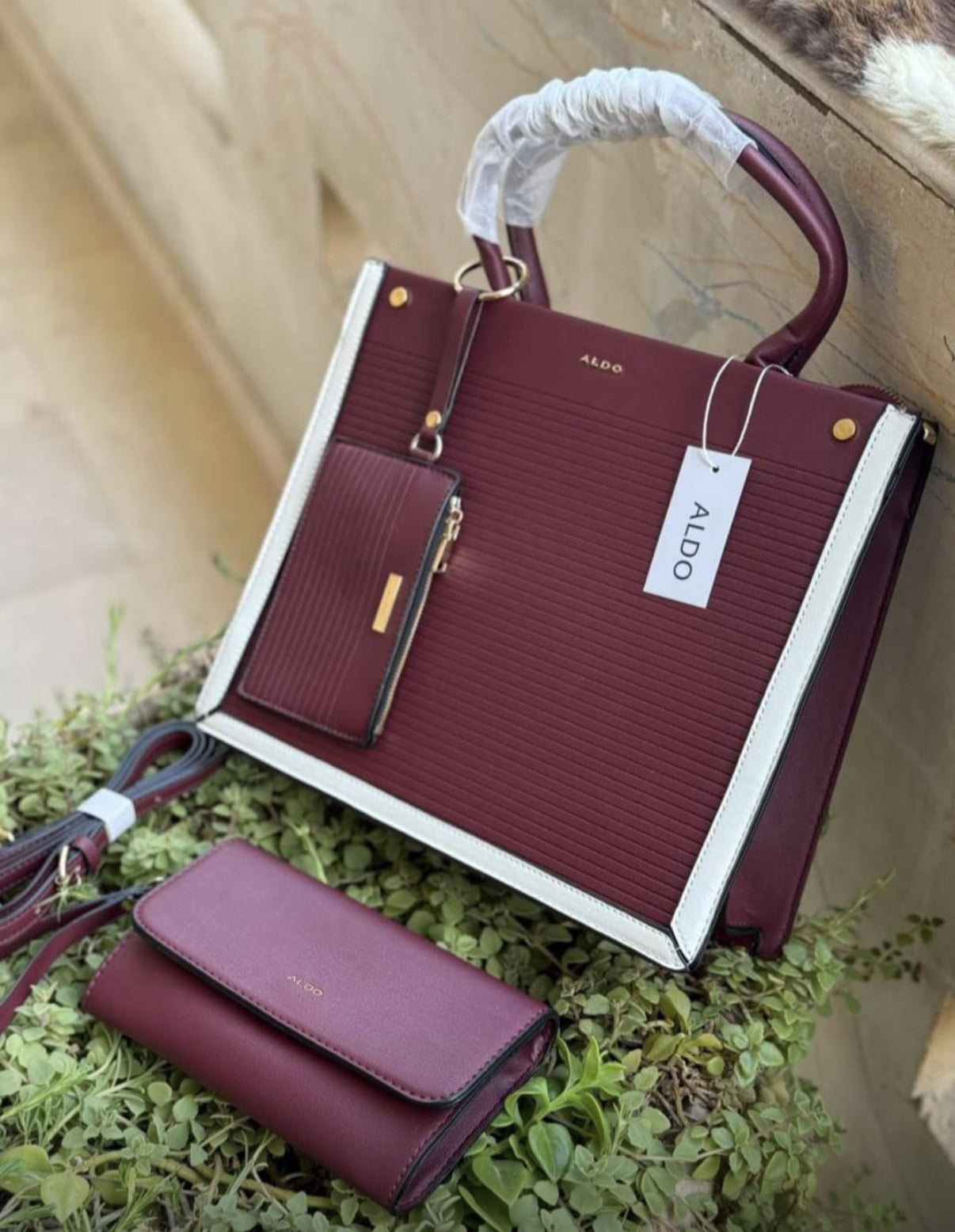 Aldo bag with pouch