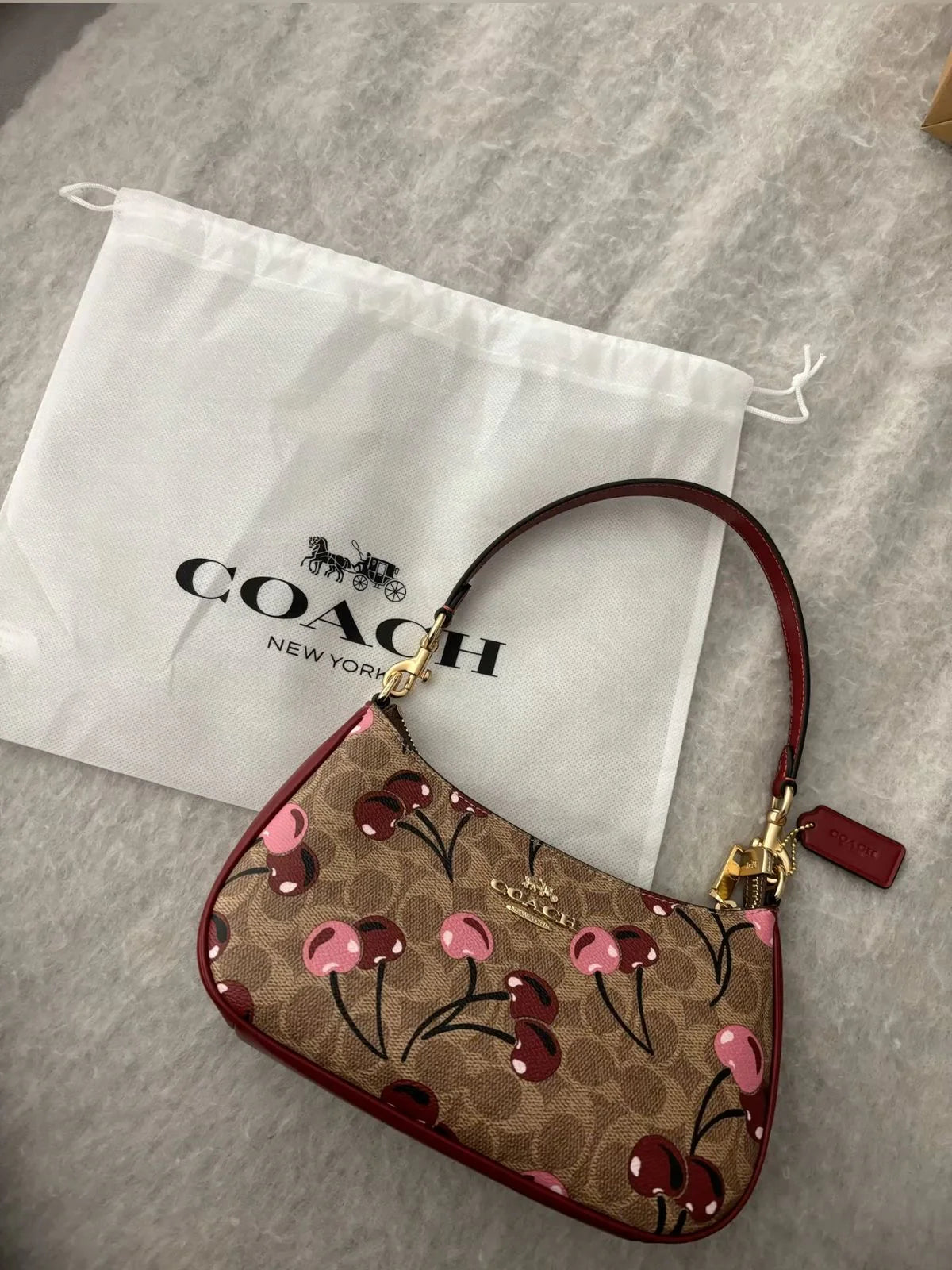 Coach Teri in Cherry with Brand Box-Same as Original