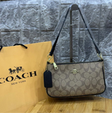 Coach Nolita 19 with Brand Box