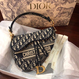 DIOR Monogram Saddle Bag