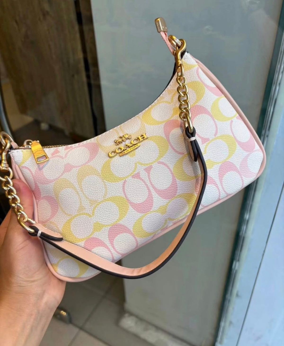 Coach Teri Shoulder Bag